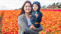 The Flowers Fields