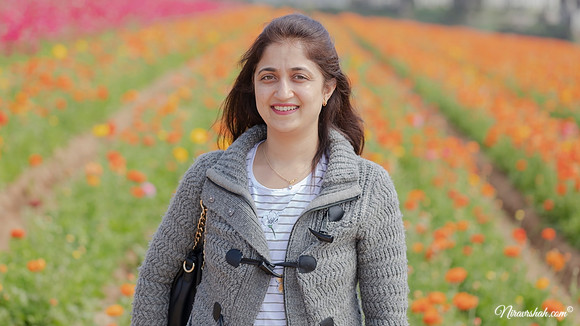 The Flowers Fields