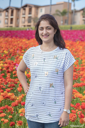 The Flowers Fields