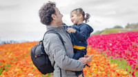 The Flowers Fields