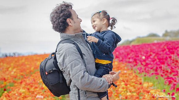 The Flowers Fields