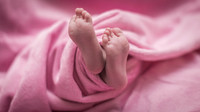 Newborn