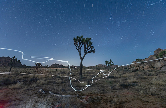 Joshua Tree
