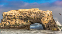 Santa Cruz