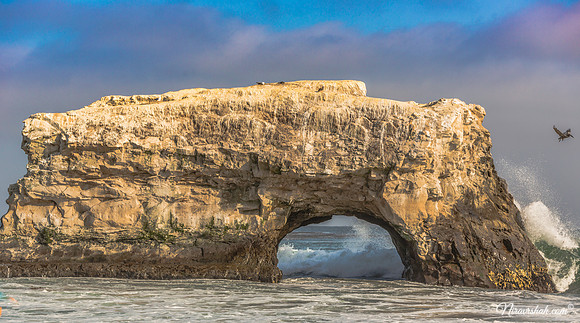 Santa Cruz